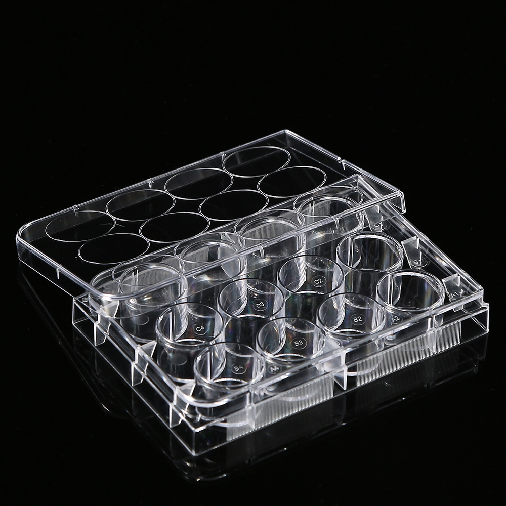 5 szt. Polistyrenu 12 studni p – Medical Lab Supplies recenzja i cena