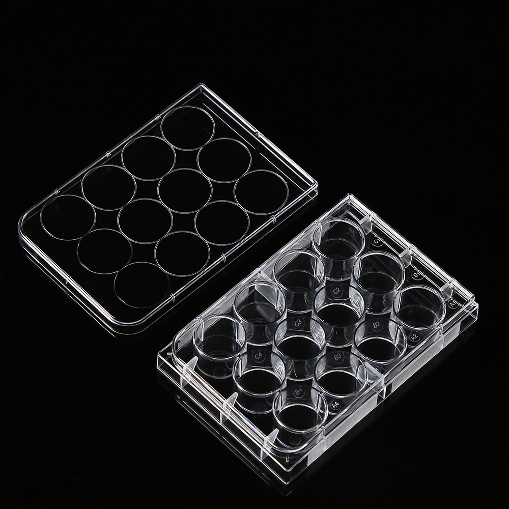 5 szt. Polistyrenu 12 studni p – Medical Lab Supplies recenzja i cena